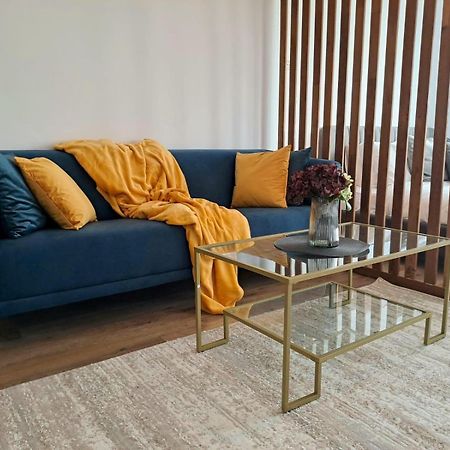Mountain Breeze Luxury Apartment Ac & Parcare Privata 브라쇼브 외부 사진