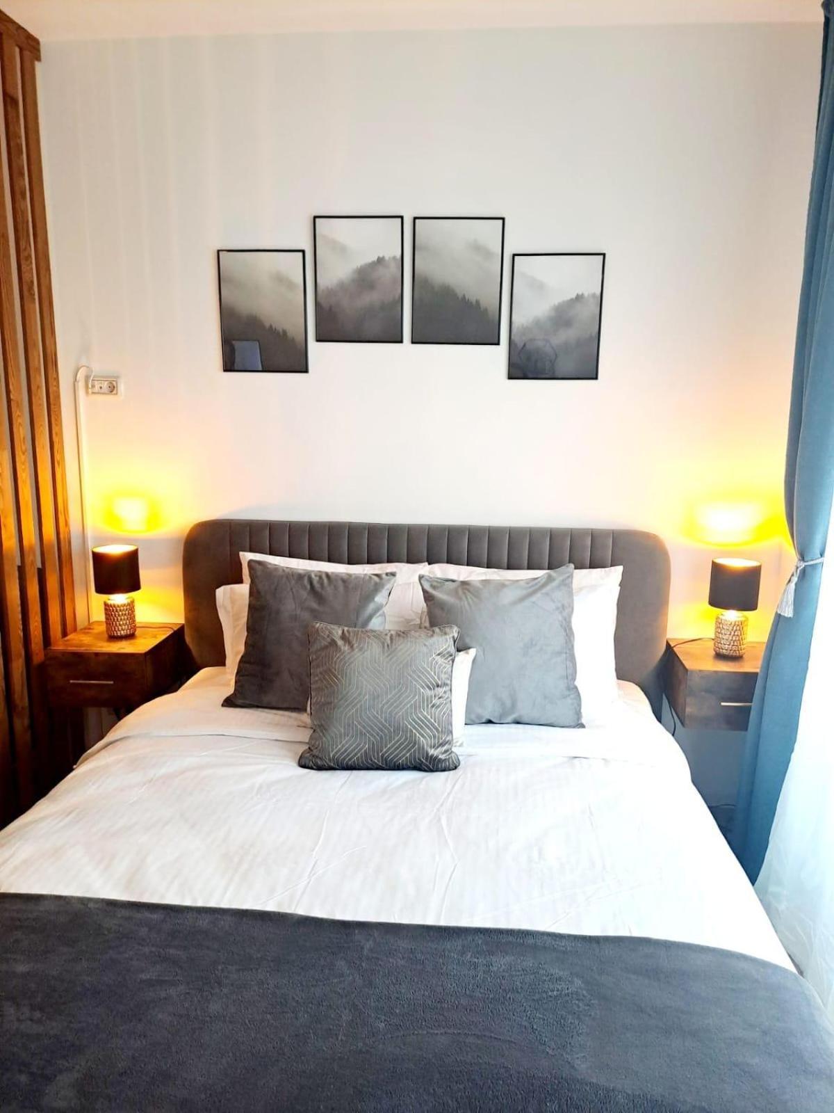 Mountain Breeze Luxury Apartment Ac & Parcare Privata 브라쇼브 외부 사진